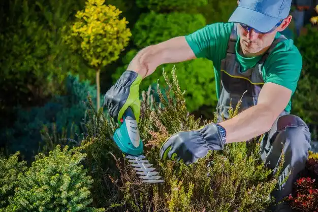 landscaping services Gratis